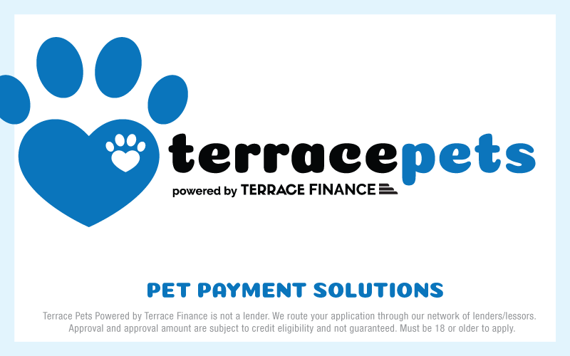 TPets-rectangle-web-banner-800x500 TPets-rectangle-web-banner-800x500
